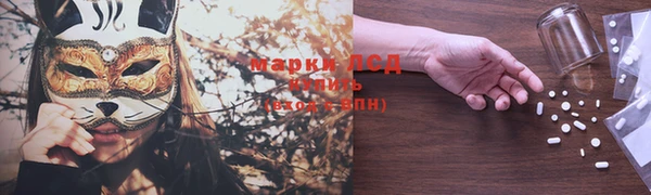 ешки Тайга