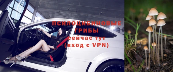 скорость Богородск