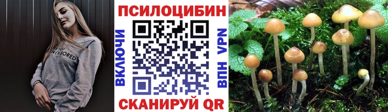 Псилоцибиновые грибы мухоморы  KRAKEN ТОР  Мончегорск 